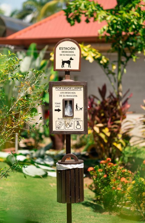 Hotel Costa Pacifica Bãi biển Bãi biển Esterillos Ngoại thất bức ảnh