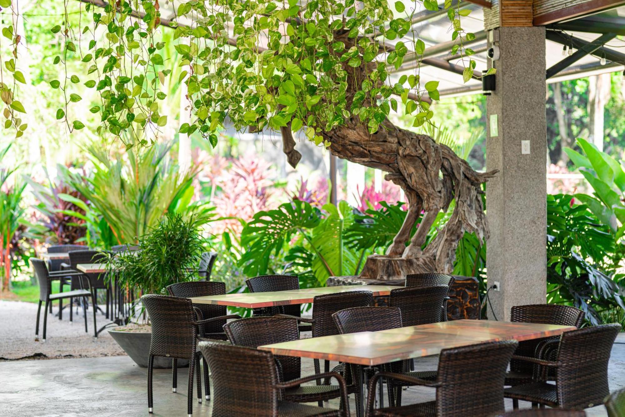 Hotel Costa Pacifica Bãi biển Bãi biển Esterillos Ngoại thất bức ảnh